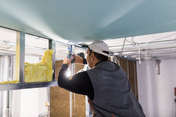 Best Residential Insulation in White Pigeon, MI