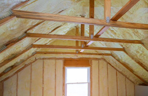 Best Insulation Maintenance and Repair in White Pigeon, MI